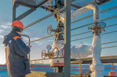 Not for decoration: hydrotesting Christmas trees