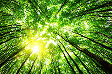 THREE60 Energy Group launches sustainability advisory service and appoints industry leaders to drive growth