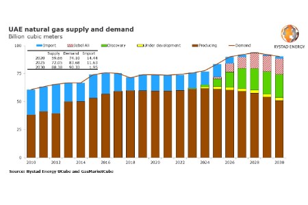 Rystad Energy: UAE will still require gas imports despite Jebel Ali find